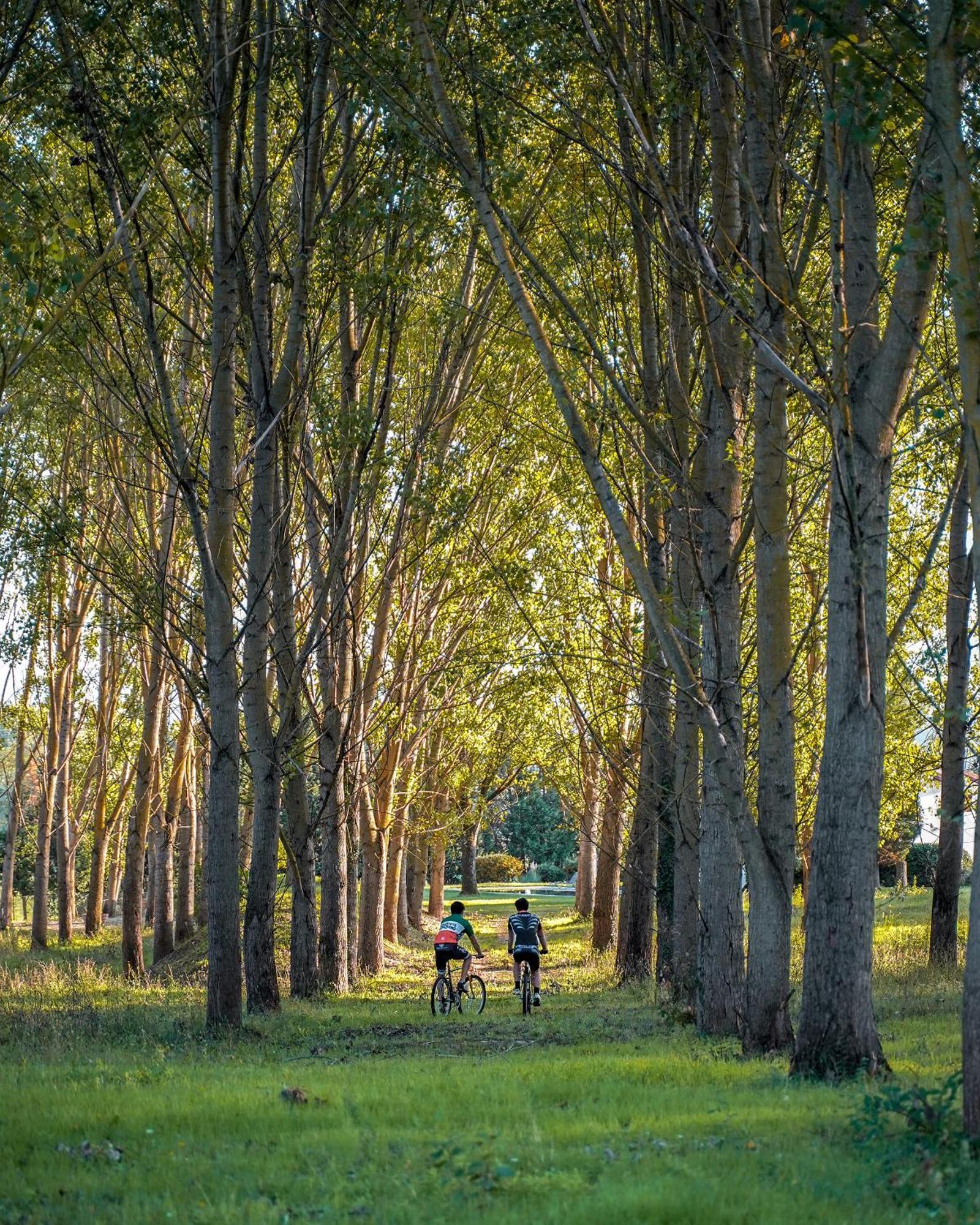 Viesca Suites & Villas Il Borro Toscana Reggello Eksteriør billede